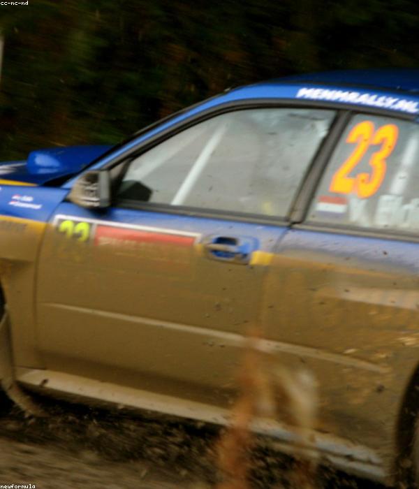 Rallyetrainer Andreas Pichler